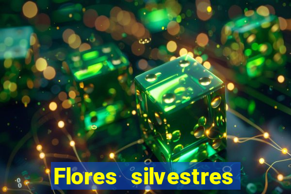 Flores silvestres brasileiras 25